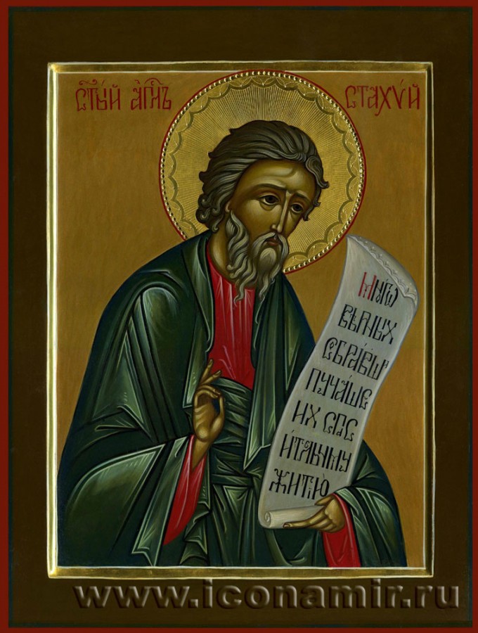 Икона Святой Апостол Стахий фото, купить, описание