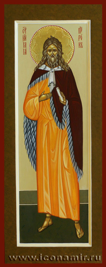 Икона Святой Илия пророк фото, купить, описание